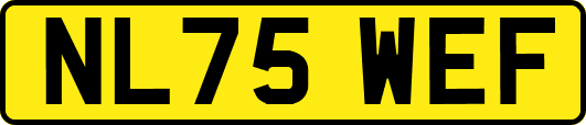NL75WEF