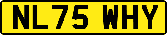 NL75WHY