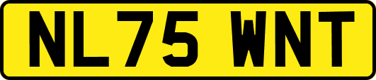 NL75WNT