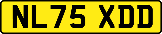 NL75XDD