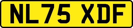 NL75XDF