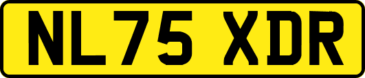 NL75XDR