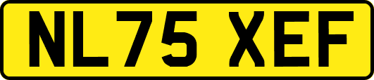 NL75XEF