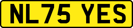 NL75YES