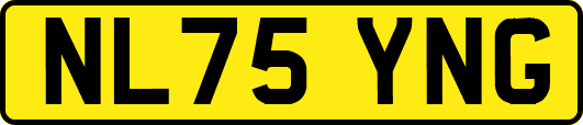 NL75YNG