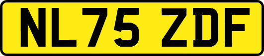 NL75ZDF
