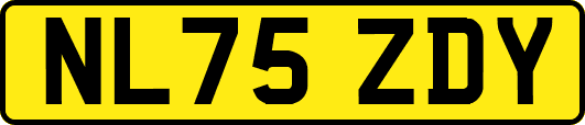 NL75ZDY