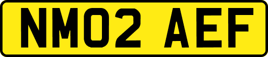 NM02AEF