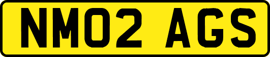 NM02AGS