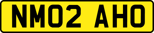 NM02AHO