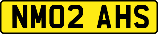 NM02AHS