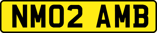 NM02AMB