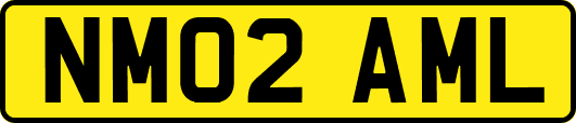 NM02AML