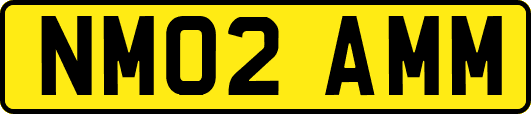 NM02AMM