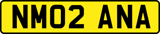 NM02ANA