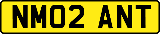 NM02ANT