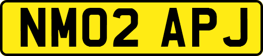 NM02APJ
