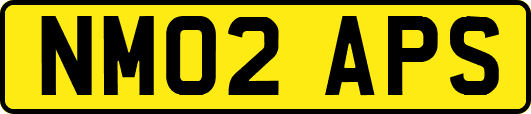 NM02APS