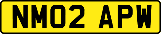 NM02APW