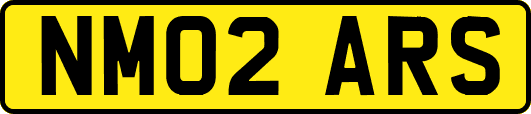 NM02ARS
