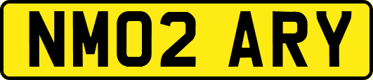 NM02ARY