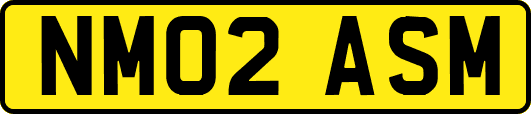 NM02ASM