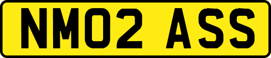NM02ASS