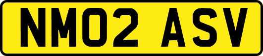 NM02ASV