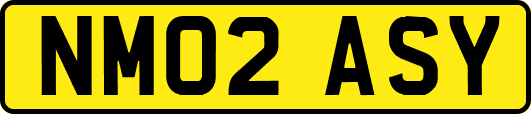 NM02ASY