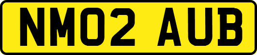 NM02AUB