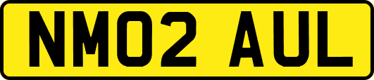 NM02AUL