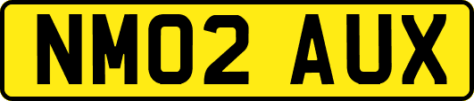 NM02AUX