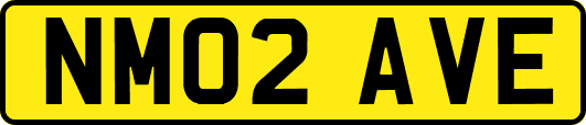 NM02AVE