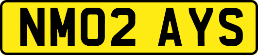 NM02AYS