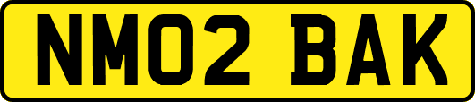 NM02BAK