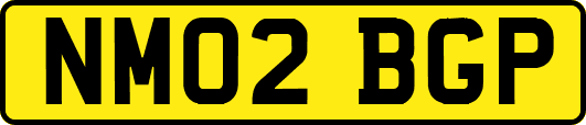 NM02BGP