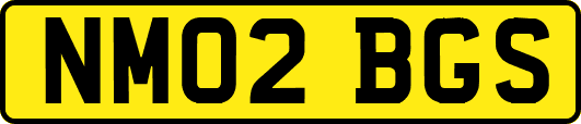 NM02BGS
