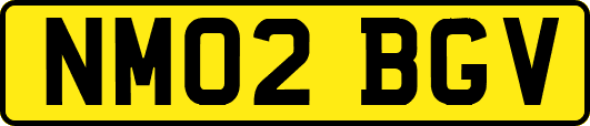 NM02BGV