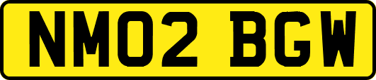 NM02BGW