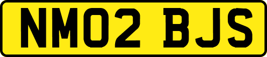 NM02BJS