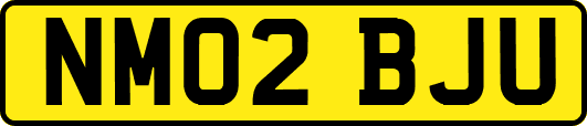 NM02BJU