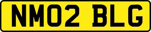 NM02BLG