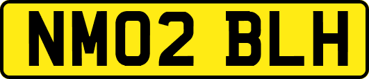 NM02BLH