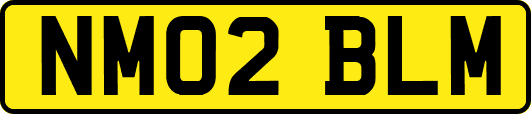 NM02BLM