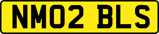 NM02BLS