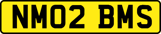 NM02BMS