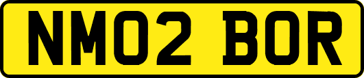 NM02BOR