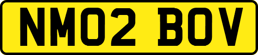 NM02BOV