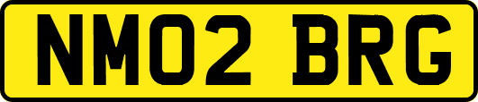 NM02BRG