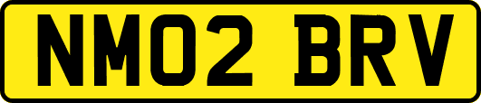 NM02BRV